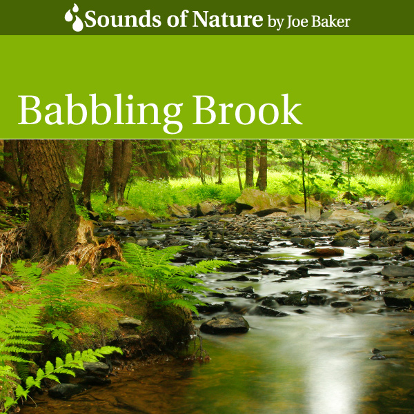 Nature Sounds by Joe Baker - Babbling Brook