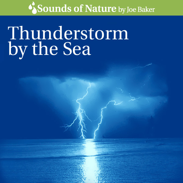 Nature Sounds by Joe Baker - Thunderstorm by the Sea